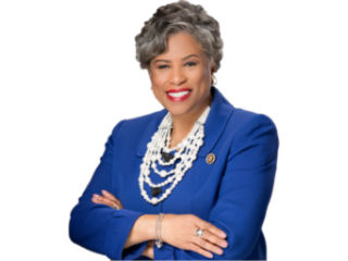 Rep. Brenda Lawrence (D-MI-14)